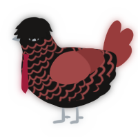 A sable and red chicken with a lace pattern
