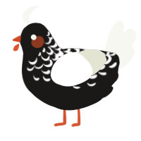 A sable and white chicken with a half-lace pattern