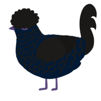 A tumblr and sable chicken with a lace pattern