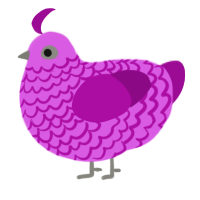 A orchid and plum chicken with a lace pattern