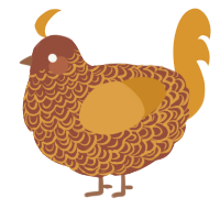 A russet and orange chicken with a double-lace pattern