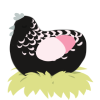 A sable and rose chicken with a half-lace pattern