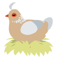 A beige and mist chicken with a neck-speckle pattern