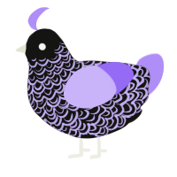 A black and lilac chicken with a double-lace pattern
