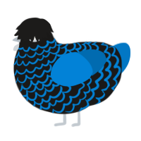 A sable and sapphire chicken with a lace pattern