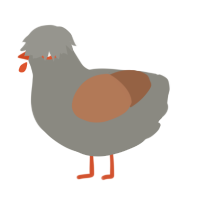 A ash and brown chicken
