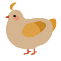 A beige and orange chicken