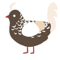 A bark and cream chicken with a half-lace pattern
