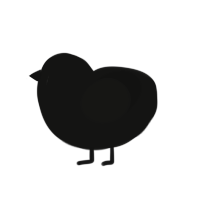 Crypt, a black chicken