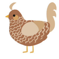 A brown and beige chicken with a lace pattern