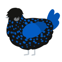 A black and ultramarine chicken with a speckle pattern