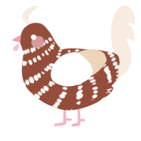 A russet and cream chicken with a bar pattern