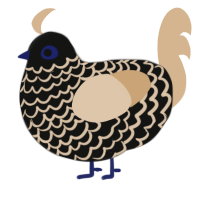 A black and beige chicken with a lace pattern