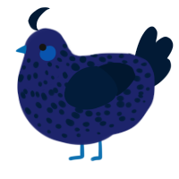 A navy and tumblr chicken with a speckle pattern