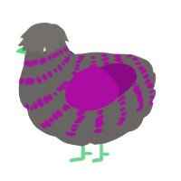 A grey and plum chicken with a bar pattern
