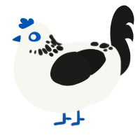 花灰, a white and sable chicken with a neck-speckle pattern