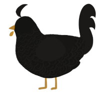 A black and sable chicken with a double-lace pattern