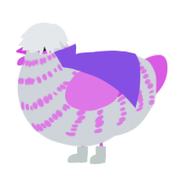 A mist and orchid chicken with a bar pattern