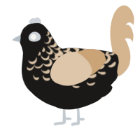 A sable and beige chicken with a half-lace pattern