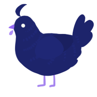 A navy chicken with a half-bar pattern