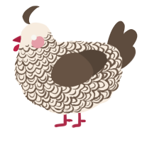 A cream and bark chicken with a double-lace pattern
