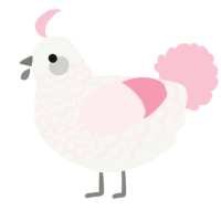 A white and rose chicken with a lace pattern