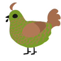 A chartreuse and brown chicken with a lace pattern