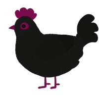 A sable and black chicken with a double-lace pattern