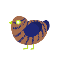 (unnamed), a brown and navy chicken with a bar pattern