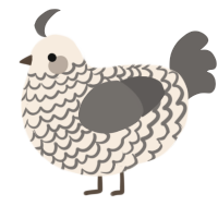 A cream and grey chicken with a lace pattern