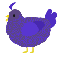 A overcast and indigo chicken with a double-lace pattern