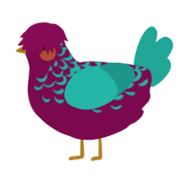 A wine and turquoise chicken with a half-lace pattern