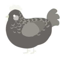 A grey and ash chicken with a half-lace pattern