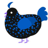 Midnight, a black and ultramarine chicken with a speckle pattern