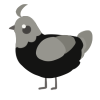 A black and ash chicken with a head pattern