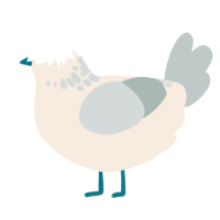 A cream and silver chicken with a neck-speckle pattern