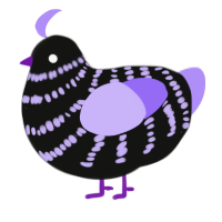 A black and lilac chicken with a bar pattern