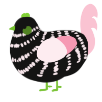 A black and rose chicken with a bar pattern
