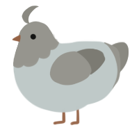 A silver and ash chicken with a head pattern