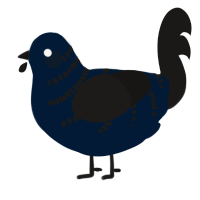 A tumblr and sable chicken with a half-bar pattern