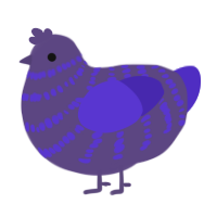 A overcast and indigo chicken with a bar pattern