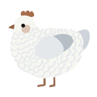 A white and mist chicken with a lace pattern