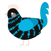 A black and cerulean chicken with a bar pattern