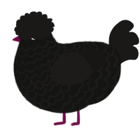 A black and sable chicken with a lace pattern