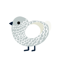 QUEERPLATONIC, a silver and white chicken with a lace pattern