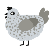 A mist and ash chicken with a speckle pattern
