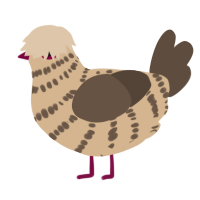 A beige and bark chicken with a bar pattern