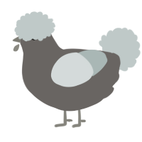 A grey and silver chicken