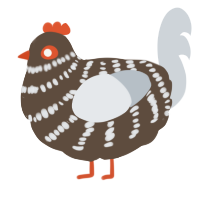 A bark and mist chicken with a bar pattern
