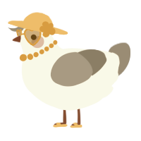 A white and ash chicken